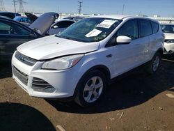 2014 Ford Escape SE en venta en Elgin, IL