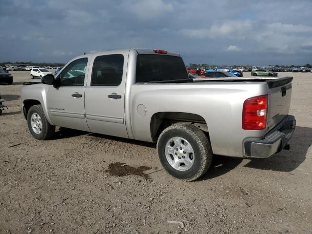 2009 Chevrolet Silverado C1500