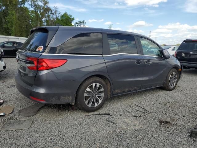 2024 Honda Odyssey EXL