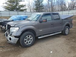 Salvage cars for sale from Copart Davison, MI: 2013 Ford F150 Supercrew
