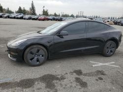 2023 Tesla Model 3 for sale in Rancho Cucamonga, CA