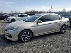 Honda Accord salvage cars for sale: 2017 Honda Accord EXL