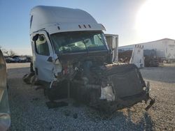 Freightliner Cascadia 126 salvage cars for sale: 2019 Freightliner Cascadia 126