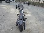 2021 Harley-Davidson Fxst