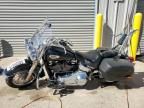 2024 Harley-Davidson Flhcs
