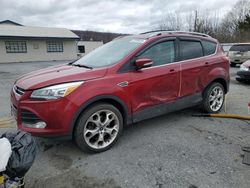 Ford Escape Titanium salvage cars for sale: 2013 Ford Escape Titanium