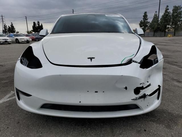 2025 Tesla Model Y
