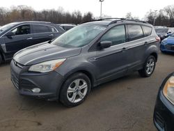 Ford Escape salvage cars for sale: 2014 Ford Escape SE