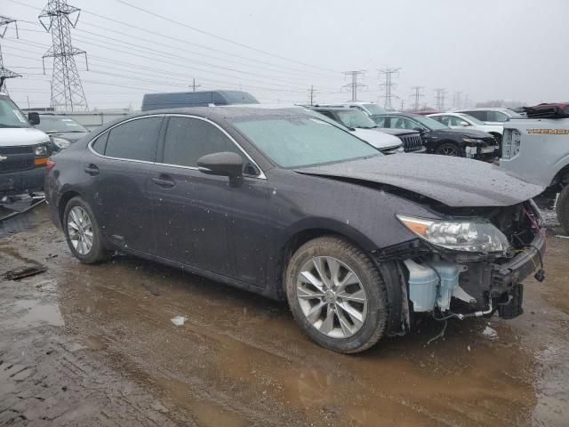 2013 Lexus ES 300H