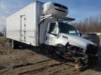 2025 International MV607 Refrigerated Truck