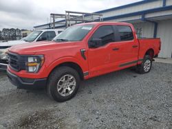 Vehiculos salvage en venta de Copart Lumberton, NC: 2023 Ford F150 Police Responder