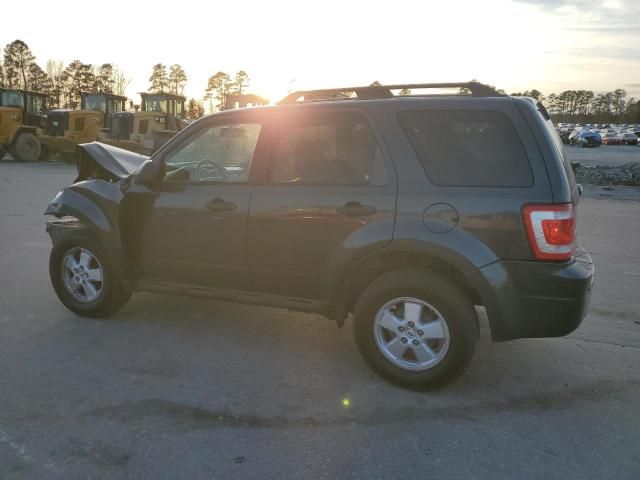 2009 Ford Escape XLT