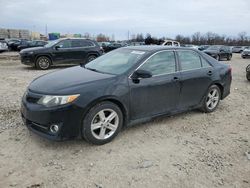 Toyota salvage cars for sale: 2014 Toyota Camry L