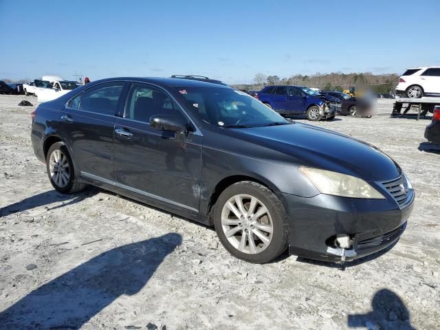2010 Lexus ES 350