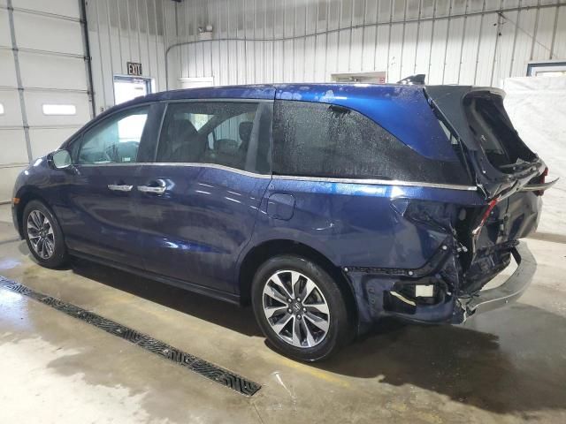 2023 Honda Odyssey EXL