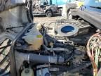 2019 Freightliner Cascadia 126