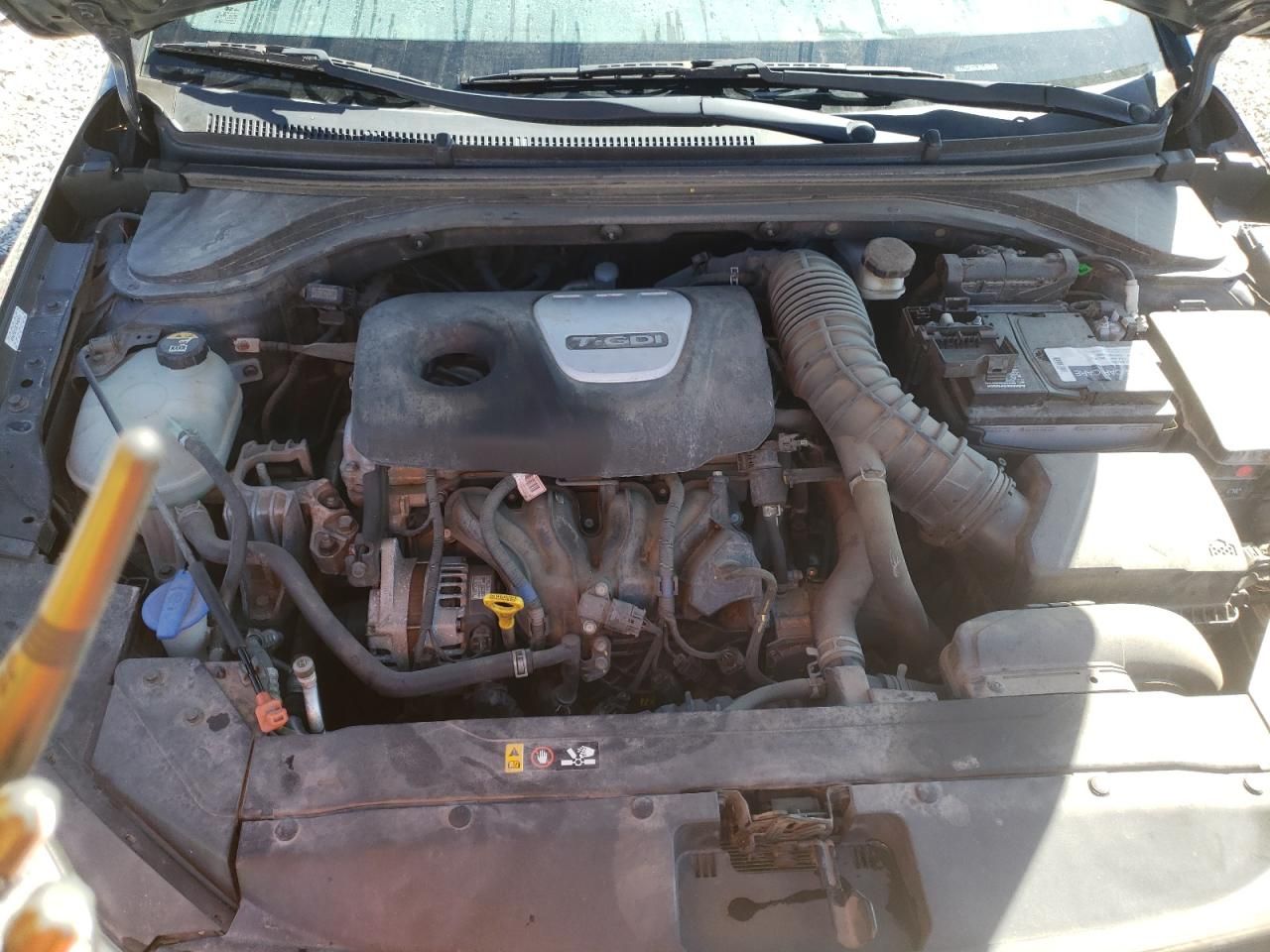 2019 Hyundai Elantra Sport