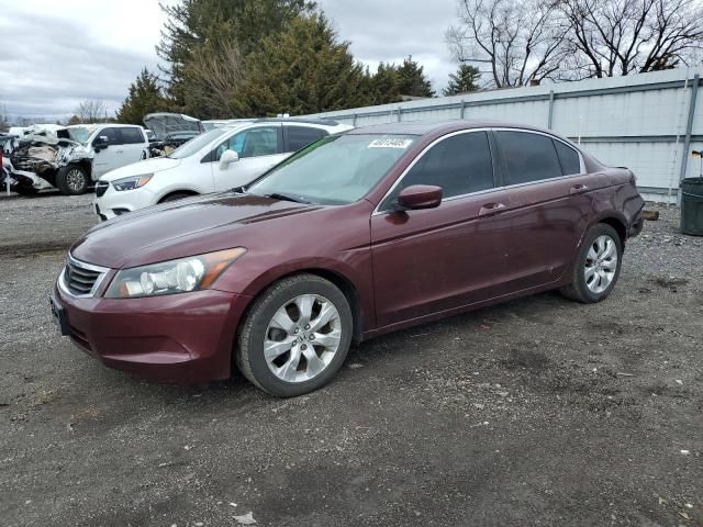 2010 Honda Accord EX