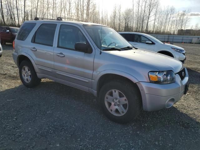 2007 Ford Escape Limited