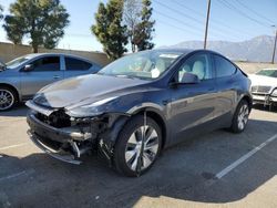 Tesla Model y Vehiculos salvage en venta: 2023 Tesla Model Y