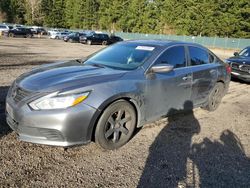 Salvage cars for sale from Copart Graham, WA: 2016 Nissan Altima 2.5