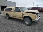 1983 Chevrolet S Truck S10