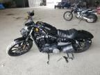 2019 Harley-Davidson XL883 N