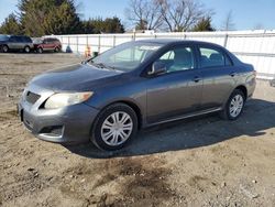 Toyota Corolla salvage cars for sale: 2010 Toyota Corolla Base