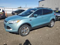 Ford salvage cars for sale: 2013 Ford Escape SE