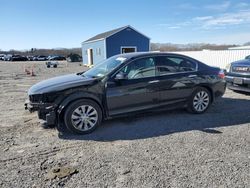 2014 Honda Accord exl for sale in Assonet, MA