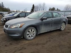 Honda Accord salvage cars for sale: 2010 Honda Accord EX