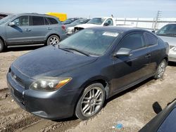 Scion tc Vehiculos salvage en venta: 2008 Scion 2008 Toyota Scion TC