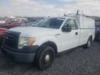 2010 Ford F150