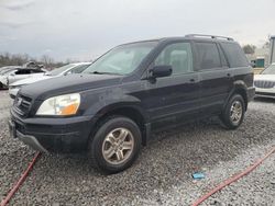 Honda Pilot salvage cars for sale: 2005 Honda Pilot EX