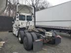 2019 Freightliner Cascadia 126