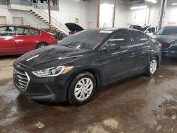 Hyundai Elantra salvage cars for sale: 2017 Hyundai Elantra SE