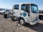 2019 Isuzu NQR Truck Cab AND Chassis