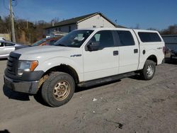 Salvage trucks for sale at York Haven, PA auction: 2012 Ford F150 Supercrew
