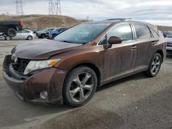 2010 Toyota Venza for sale in Littleton, CO