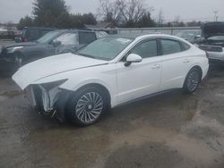 2023 Hyundai Sonata Hybrid for sale in Finksburg, MD