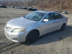 Vehiculos salvage en venta de Copart Marlboro, NY: 2010 Toyota Camry Base