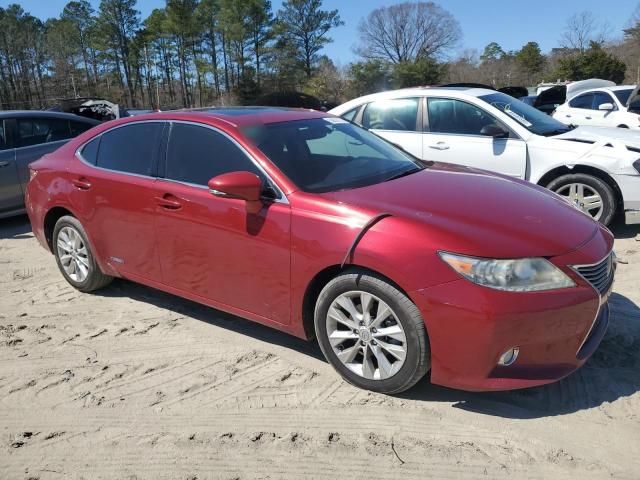 2013 Lexus ES 300H