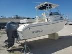 2005 FGB Boat