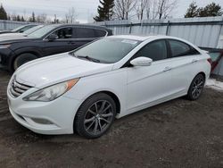 2011 Hyundai Sonata SE for sale in Bowmanville, ON