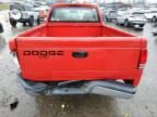 2001 Dodge Dakota