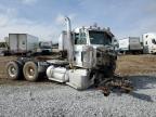 2017 Peterbilt 389 Semi Truck