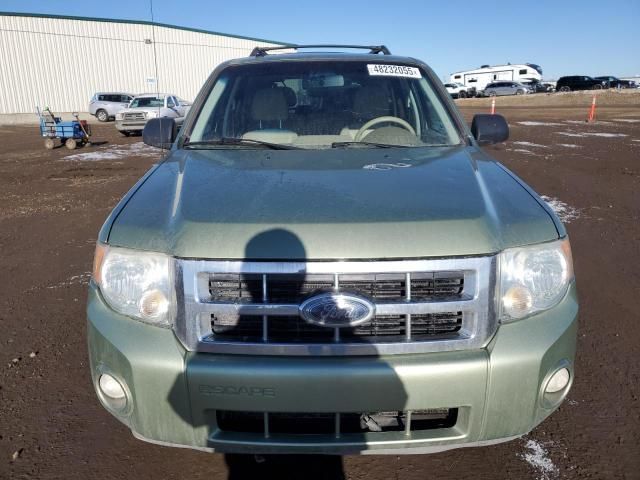 2008 Ford Escape XLT