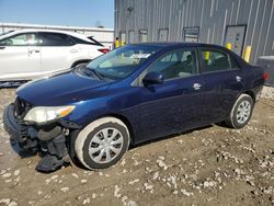 Toyota Corolla salvage cars for sale: 2011 Toyota Corolla Base