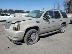 Cadillac Escalade salvage cars for sale: 2008 Cadillac Escalade Luxury