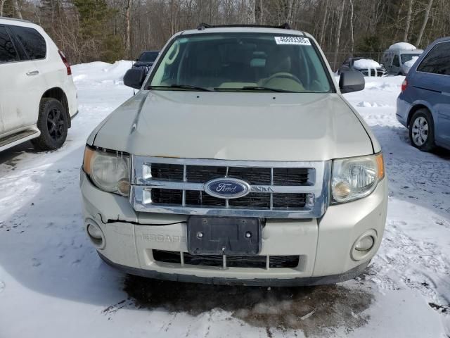 2009 Ford Escape XLT